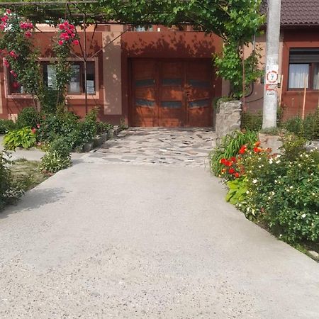 Casa Elena Eselnita Hotel Bagian luar foto