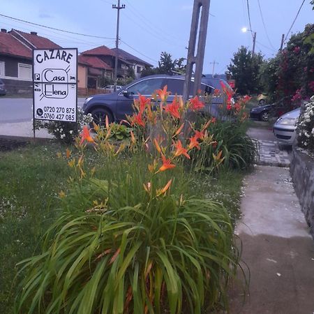 Casa Elena Eselnita Hotel Bagian luar foto