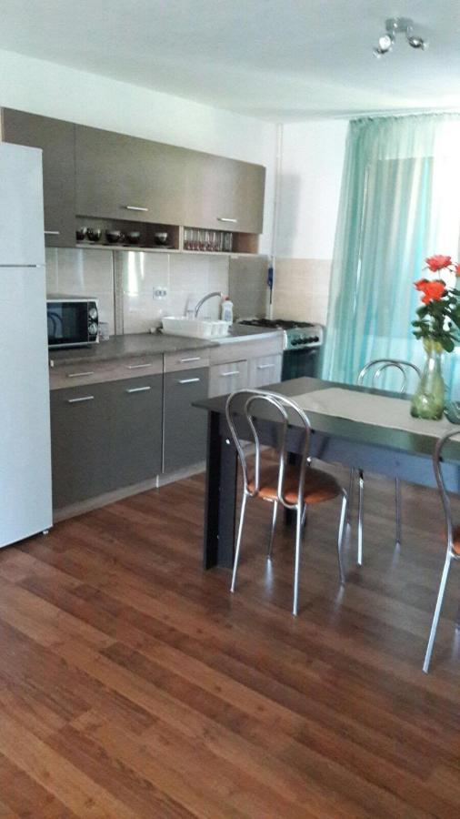 Casa Elena Eselnita Hotel Bagian luar foto