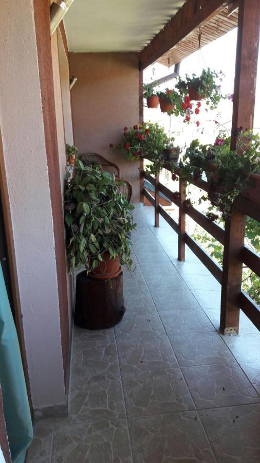 Casa Elena Eselnita Hotel Bagian luar foto