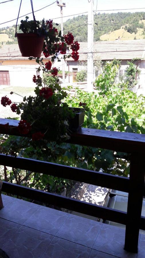 Casa Elena Eselnita Hotel Bagian luar foto
