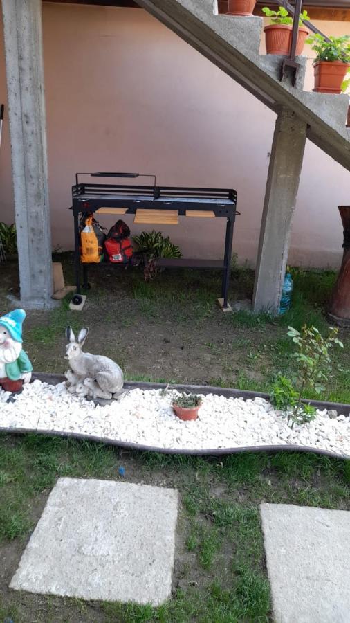 Casa Elena Eselnita Hotel Bagian luar foto