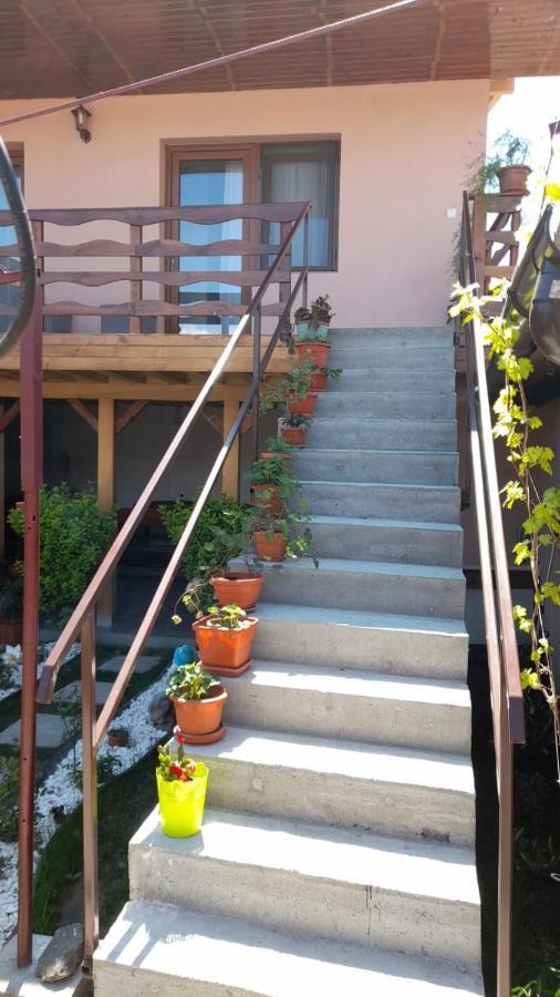 Casa Elena Eselnita Hotel Bagian luar foto