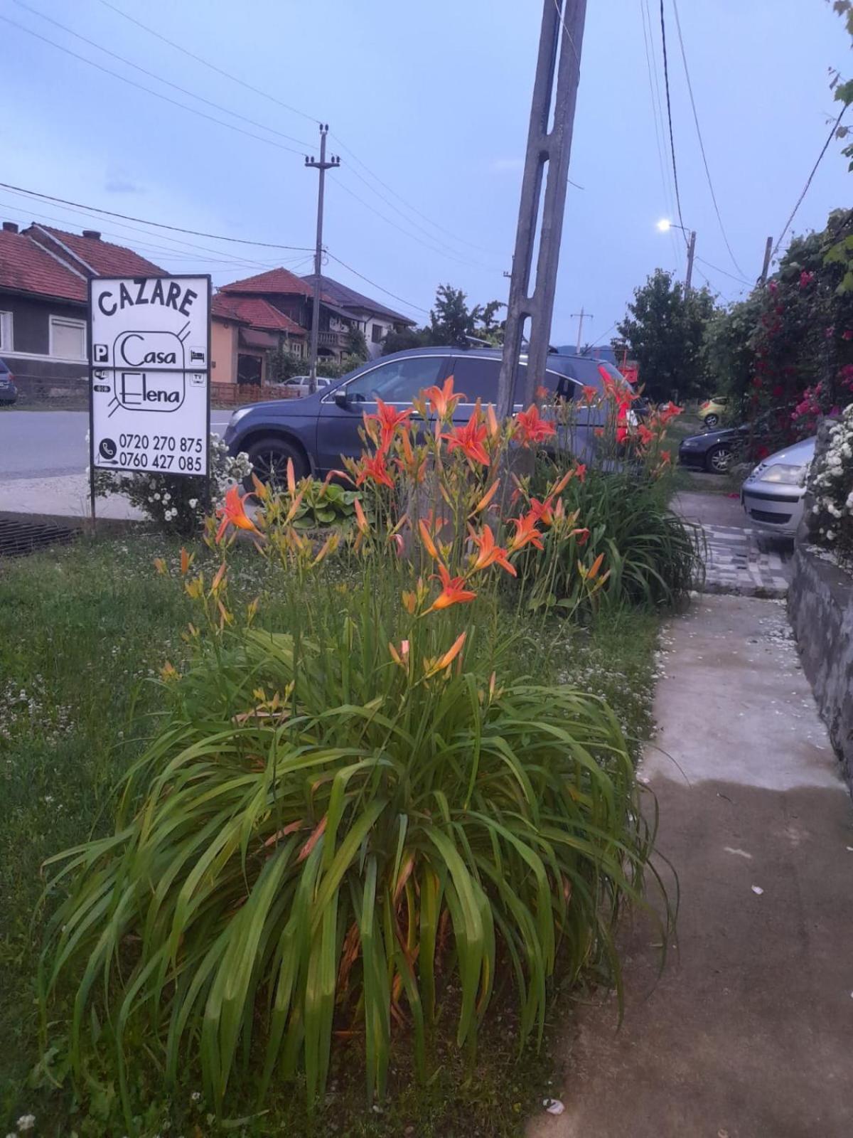 Casa Elena Eselnita Hotel Bagian luar foto