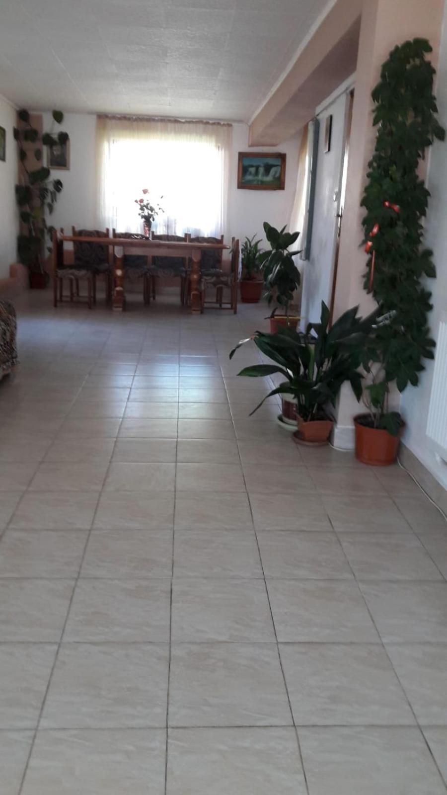 Casa Elena Eselnita Hotel Bagian luar foto