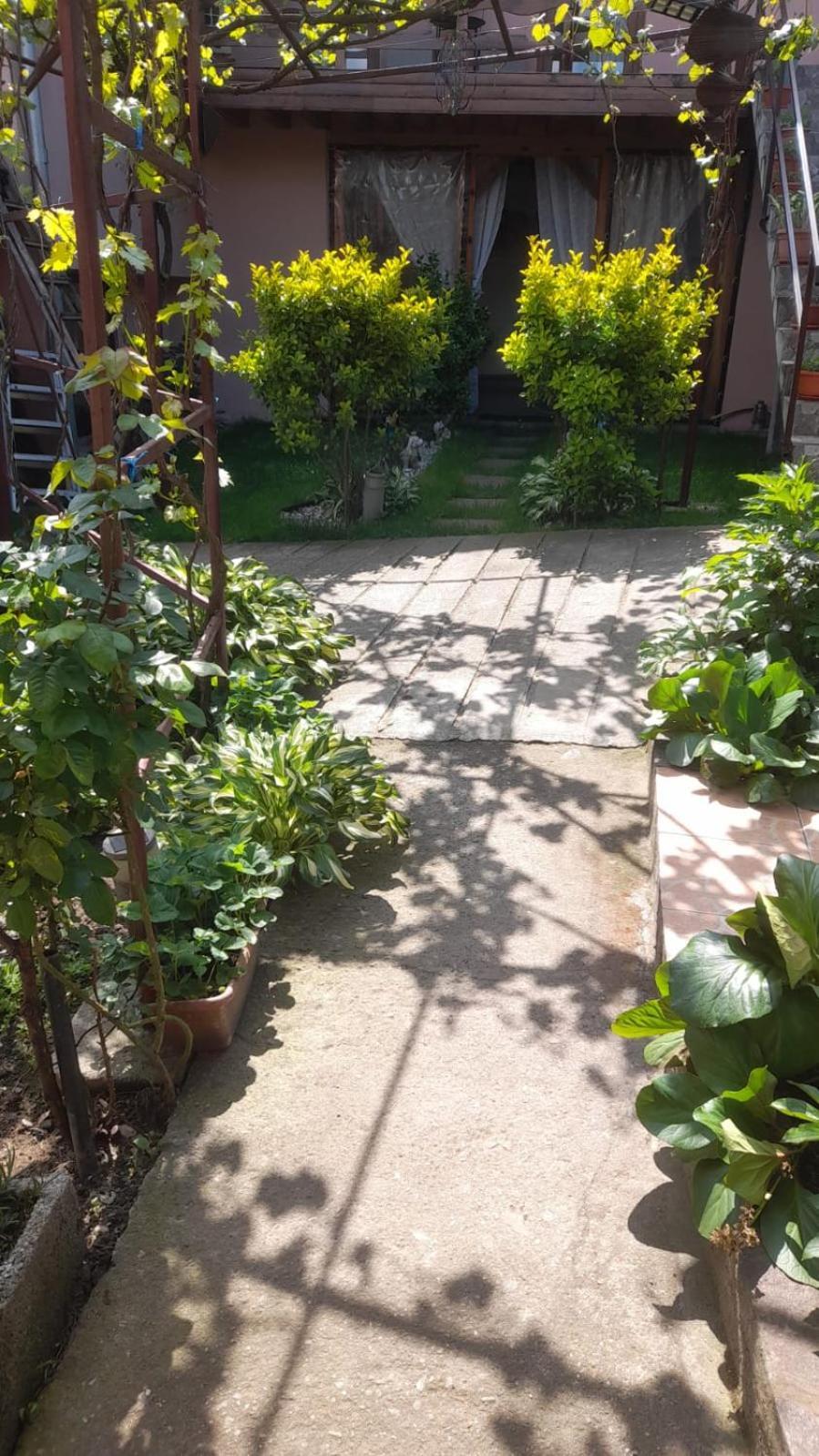 Casa Elena Eselnita Hotel Bagian luar foto