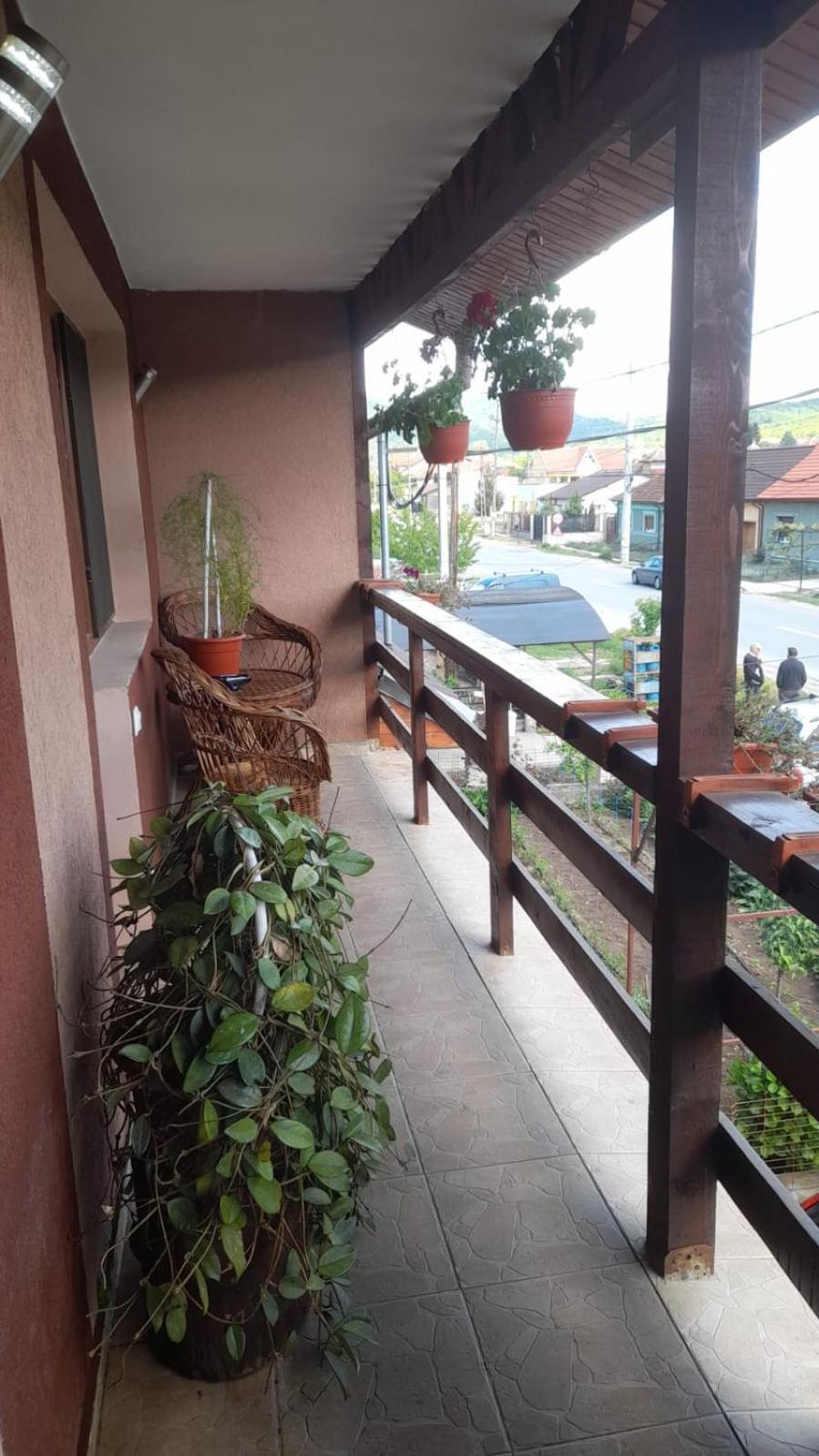 Casa Elena Eselnita Hotel Bagian luar foto