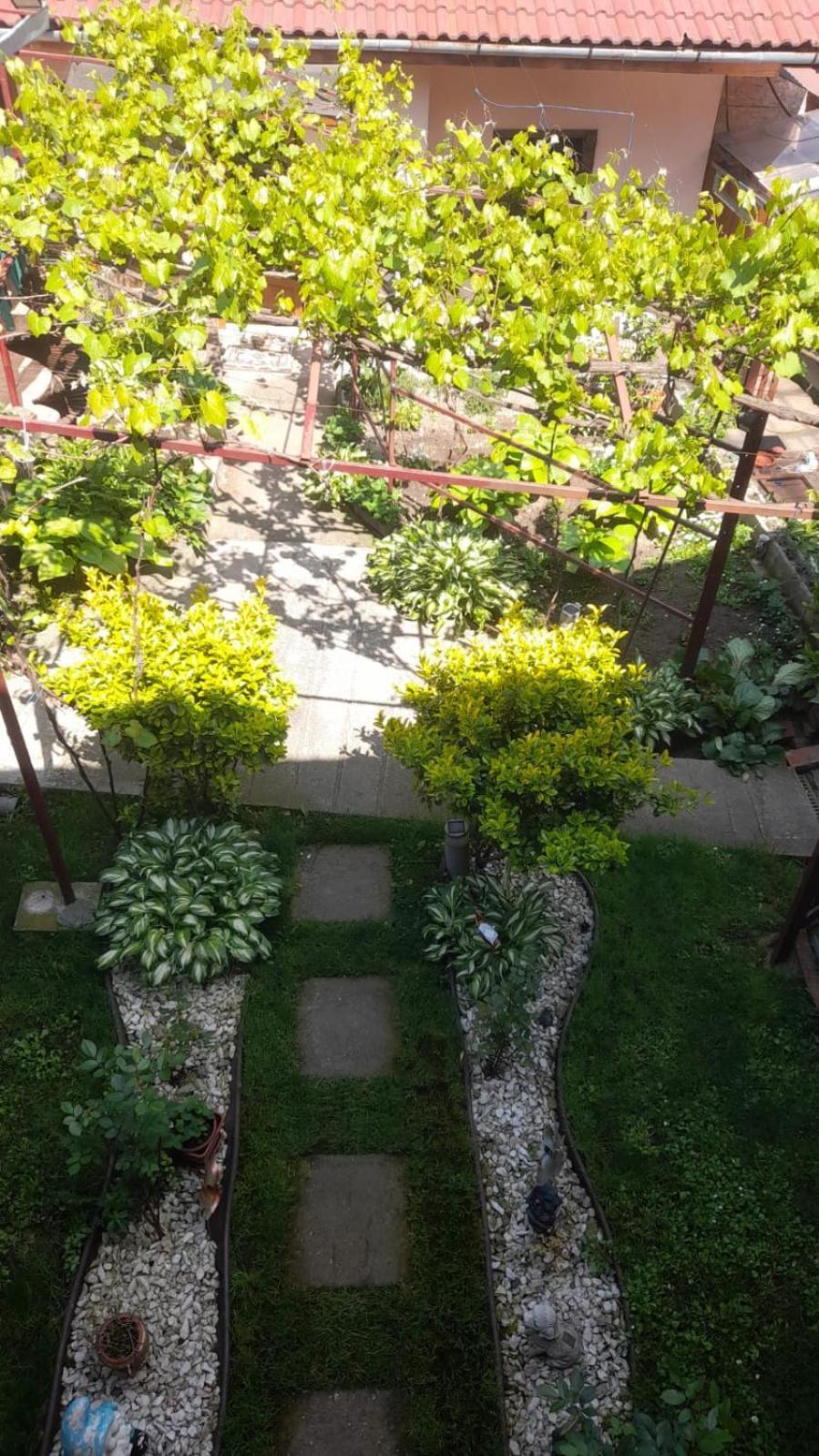 Casa Elena Eselnita Hotel Bagian luar foto